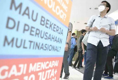 Berikut Angka Pengangguran 2024 di Sumsel Termasuk Musi Rawas, Lubuk Linggau dan Muratara