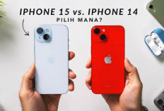 Harga Beda Tipis, Fitur Beda Jauh,  iPhone 14 vs iPhone 15 Siapa Pemenangnya