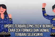 Update Terbaru CPNS 2024, Berikut Cara Cek Formasi dan Jadwal Terbaru Seleksinya