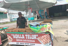 Aqilla Telur Lubuk Linggau Layani Pembelian Telur Grosir dan Eceran Kualitas Terjamin di Lubuk Linggau