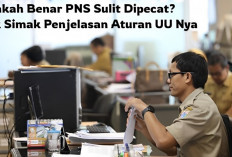 Apakah Benar PNS Sulit Dipecat? Begini Menurut Aturan Undang-undangnya