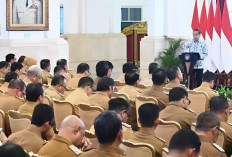 Sebanyak 35 Kepala Daerah Tak Bisa Hadir Saat Presiden Jokowi Beri Pengarahan di IKN, Ini Alasanya