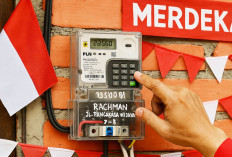 17 Agustusan 2025, Tarif Listrik PLN per kWh Semua Golongan Menjadi Segini