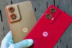 Moto G35 dari Motorola Meluncur dengan Cover Kulit Vegan Harga Sejutaan