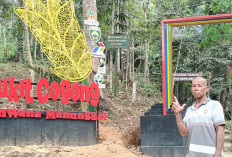 Bukit Cogong Akan Dibangun Rumah Konservasi Anggrek Sebagai Objek Wisata Baru