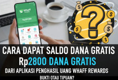 Cara Dapat Saldo DANA Gratis Rp289.000 dari Aplikasi Penghasil Uang Whaff Rewards, Bukti atau Tipuan?