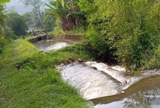 Tanggul Jebol di Desa Sukorejo Akan Dibangun Baru, Petani Berharap Tidak Ditunda