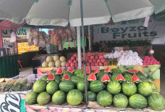 Makin Diminati, Beyza Fruit Jamin Kualitas Buah Terjaga 