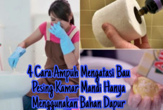 Inilah 4 Cara Ampuh Untuk Mengatasi Bau Pesing Di Kamar Mandi,Yuk Simak Disini!