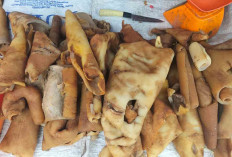 Kikil Sapi Dijual Rp40 Ribu per Kilogram, untuk Olahan Berkuah