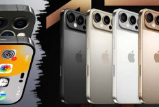 Harga iPhone 17 dan 16 Plus, Ini Daftar Harga Turun di iBox Sambut Tahun Baru 2025    