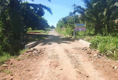 Warga Purwodadi Musi Rawas Bangun Gorong-Gorong Secara Swadaya, Ini Alasannya