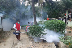 Jumlah Kasus DBD di Musi Rawas Meningkat  