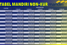 Segini Cicilan Pinjaman Non KUR Mandiri Rp30 Juta, Bisa Cair Cepat Tanpa Ribet!