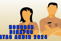 Resmi Dihapus Jokowi, Honorer tidak akan Adalagi pada Tahun 2024, Lalu Bagaimana di Lubuklinggau