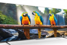 Gede, Canggih, Mewah! Ini 4 Smart TV TCL 80 Inch Paling Top Tahun 2025