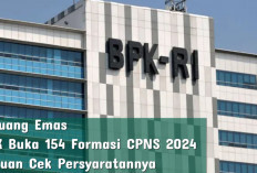 Peluang Emas, BPK Buka 154 Formasi CPNS 2024, Buruan Cek Persyaratannya