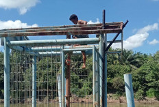 IKK Muara Kelingi Sudah Beroperasi Kembali