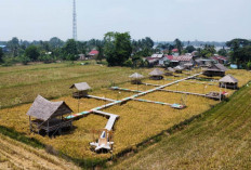 Pesona Kampung Wisata Pondok Bambu di Sumsel Tawarkan 8 Saung, Ini Lokasinya