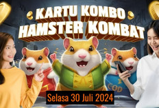 ﻿Baru Combo Harian Hamster Kombat Hari Ini 29 Juli 2024, Garap Hingga 5 Juta Koin Gratis