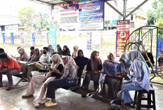 Jumlah Penduduk Muratara 207.3087 Jiwa, Terpadat di Kecamatan Rupit  