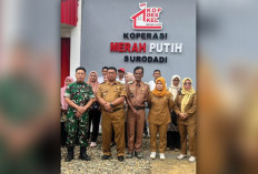 Ini Progres Pembangunan Koperasi Merah Putih di Kecamatan Tugumulyo Musi Rawas