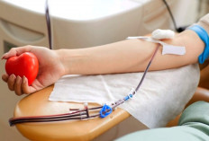 5 Manfaat Donor Darah Bagi Kesehatan Tubuh, yang Wajib Kalian Ketahui