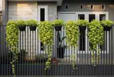 8 Model Pagar Rumah Modern 2026 yang Bikin Fasad Makin Elegan, Cocok untuk Rumah Minimalis