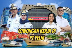 PT PELNI Buka Lowongan Kerja yang Syaratnya Usia Maksimal 59 Tahun, Tersedia 3 Posisi