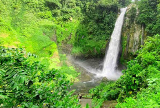Air Terjun Tri Muara Karang dan Tri Sakti Rejang Lebong Hadirkan Pesona Hutan Tropis Sumatera