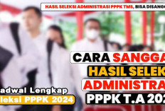 Cek Masa Sanggah atau Daftar PPPK 2024, Tahap II Dimulai ini Jadwal Pendaftaran 