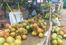 Jelang Lebaran Penjual Kelapa Tetap Ramai, Dibuat Santan untuk Masak Opor dan Rendang