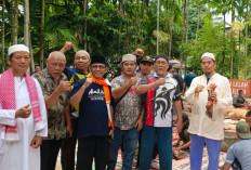 Idul Adha 1447H, PPM Uswatun Hasanah dan Pengajian Fathul Hidayah Sembelih 7 Sapi dan 1 Kambing Kurban