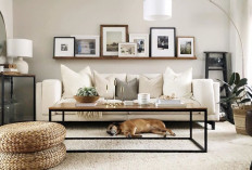 Ruang Tamu Kecil, Gaya Maksimal, Ini 6 Desain Minimalis 3x3 Favorit 2025