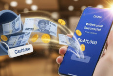 Saldo DANA Gratis Rp411.000 Cair Hari Ini, Cek Cara Tariknya dari Cashtree