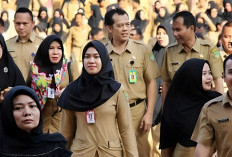 Perbandingan Gaji PNS Pemprov DKI Jakarta dan Direktorat Jenderal Pajak, Siapa yang Lebih Besar?