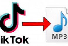 Nggak Perlu Aplikasi! Ini Cara Download MP3 dari TikTok Menggunakan SnapTik Tanpa Batas