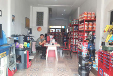 Warna Pastel Dominasi Tren Cat di Tahun 2025, Bisa Request di Toko Cipta Warna Lubuk Linggau