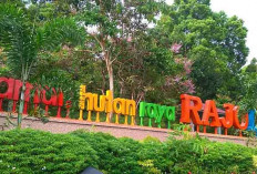 Menjelajah Jalur Trekking Tahura Rajo Lelo, Rumah Bagi Vegetasi dan Satwa Eksotis Bengkulu