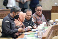 Hasil RDP Komisi II, Pemerintah, Bawaslu, KPU, dan DKPP jika Kotak Kosong Menang 2025 Pilkada Lagi