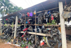 Bengkel Motor Sapri, Surganya Body Motor Second di Lubuk Linggau