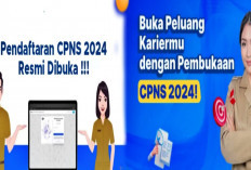 Pendaftaran CPNS 2024 Telah Dibuka, Ini Persyaratan dan Dokumen yang Penting Dipersiapkan