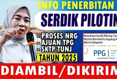 Info Terbaru Penerbitan Serdik dan TPG untuk Peserta PPG Piloting 1, Begini 6 Tahapan Lengkapnya