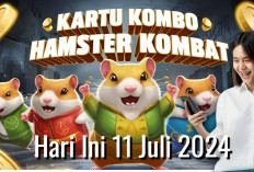 Combo Harian Hamster Kombat Hari Ini, Siapkan Wallet Cryptomu dan Garap Hingga 5 Juta Koin 