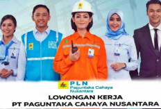 Buruan Daftar Lowongan Kerja PLN Group untuk lulusan SMA/K-S1, Tersedia 15 Posisi!