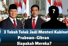 3 Tokoh Menolak Jadi Menteri Kabinet Prabowo-Gibran, Ini Daftar Nama dan Alasannya