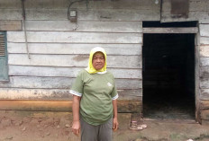 Tinggal di Rumah Tak Layak Huni, Janda di Desa Sumberjo Musi Rawas Sering Mengungsi ke Rumah Tetangga