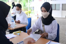 Sudah Dipastikan Batal Diangkat Jadi PPPK oleh Pemerintah, Ini 3 Kategori Tenaga Honorernya, Jika