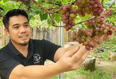 Kiat Cepat Hamil, Bisa Lahiran Normal dan Merawat Bayi dengan Sehat ala dr Indra Tarigan, Sp.OG