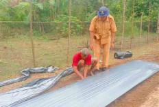 Petani di Jayaloka Musi Rawas Siap Tanam Bawang Merah